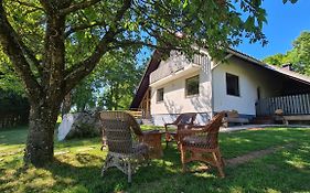 Forestside House Gacka With Relax Area